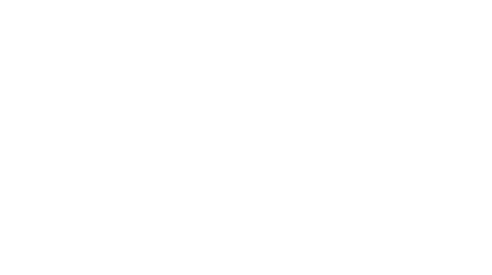 B&W Plumbing White Logo